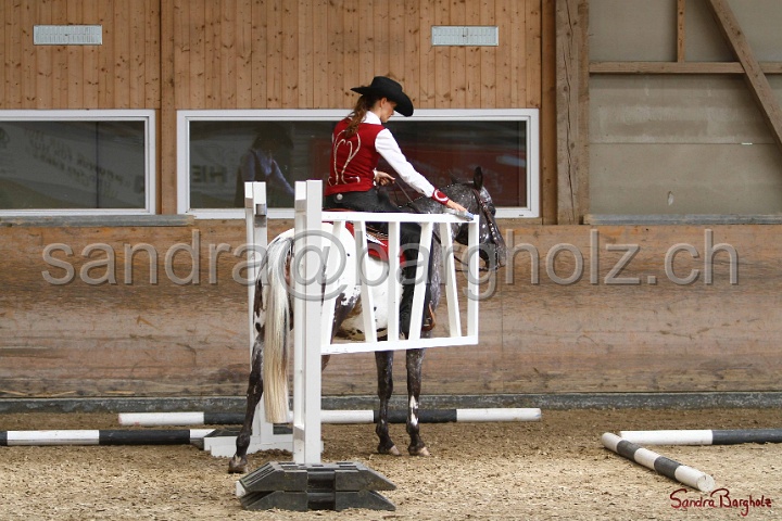 28-ApHC OT_271.jpg
